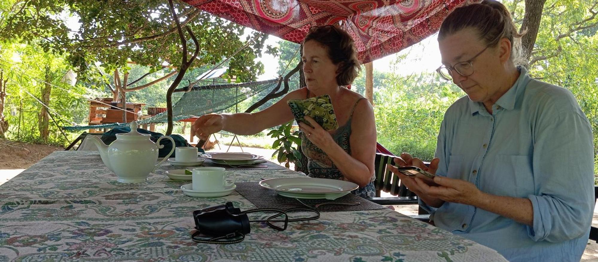 Jungle Cabin - Bundala Bundala Levagamgoda Bilik gambar